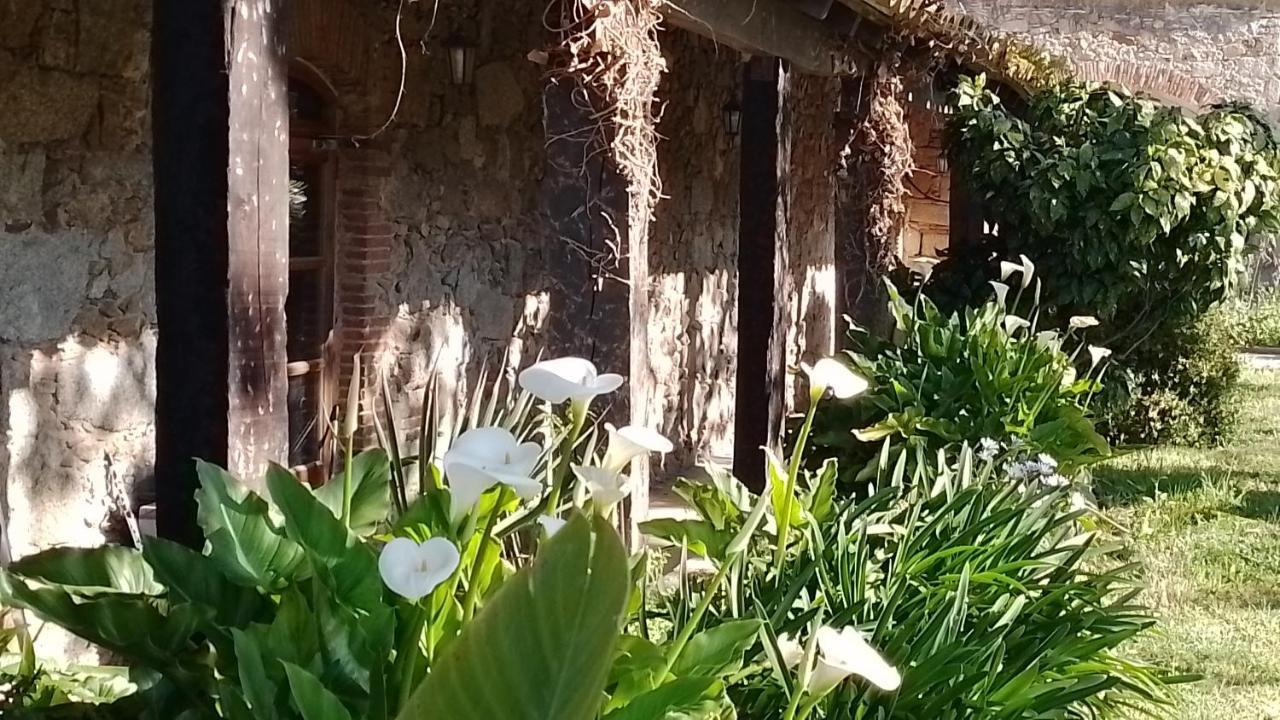Casa Rural El Refugi Platja D'Aro 4 Romanyá de la Selva Exteriör bild