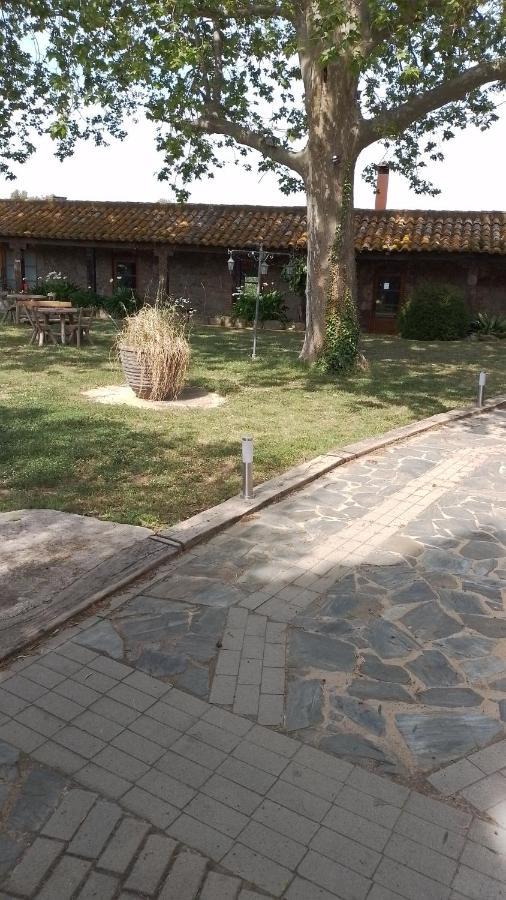Casa Rural El Refugi Platja D'Aro 4 Romanyá de la Selva Exteriör bild
